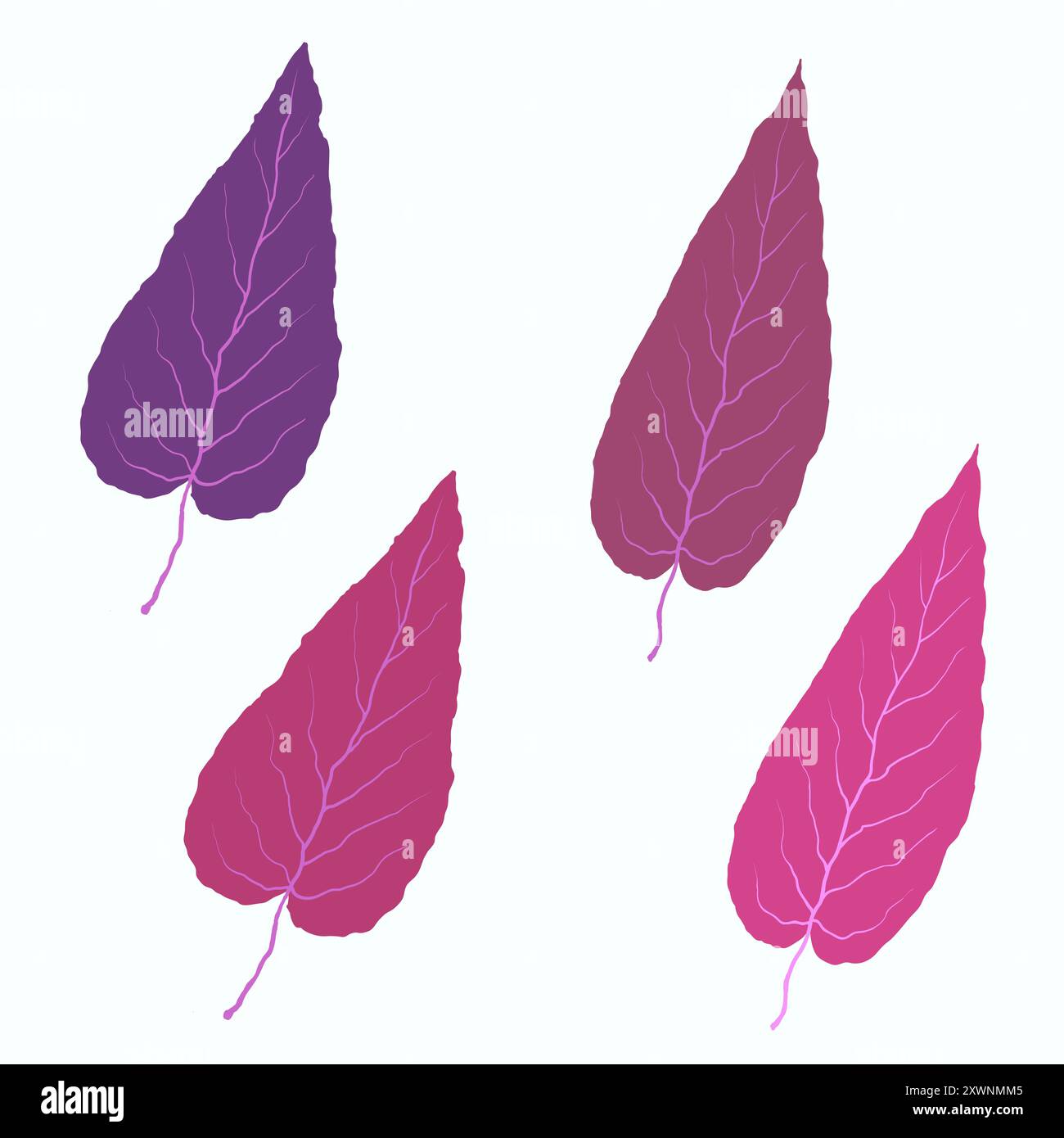 Autumn leaves on white background, vector Stock Vector Image & Art - Alamy
