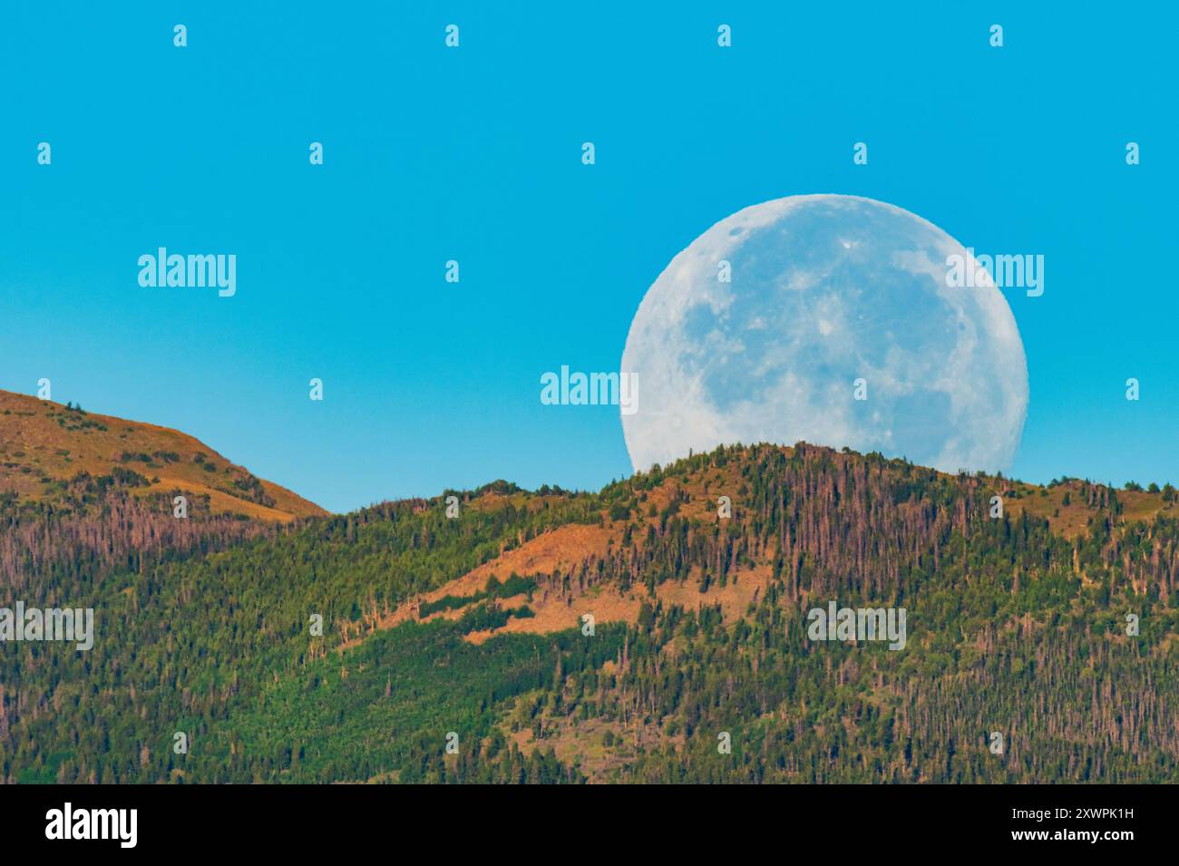 Full moon setting at sunrise over Rocky Mountains; Salida; Colorado; USA Stock Photo