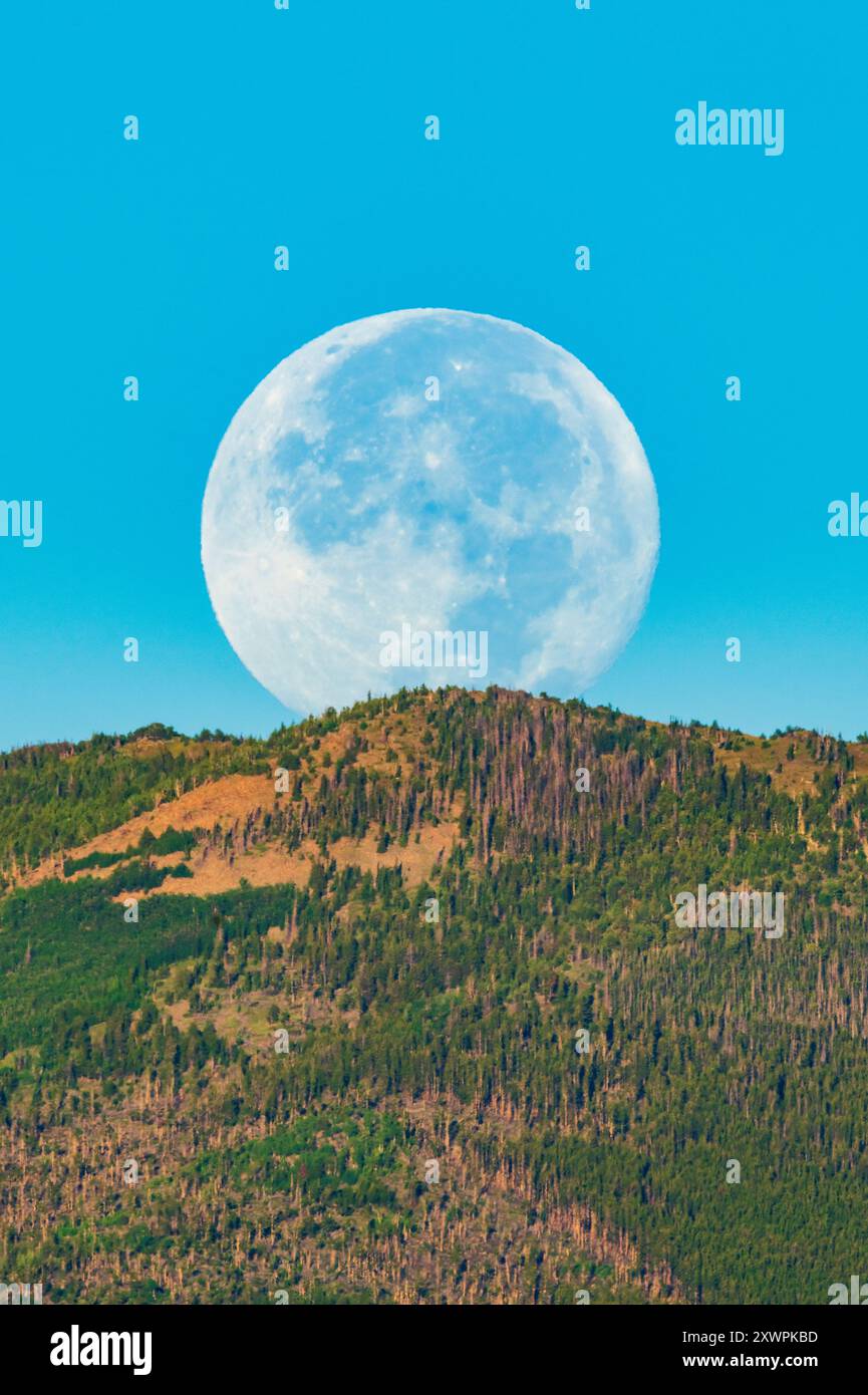 Full moon setting at sunrise over Rocky Mountains; Salida; Colorado; USA Stock Photo