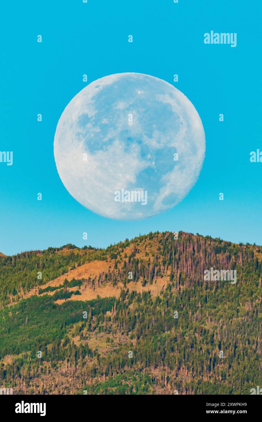 Full moon setting at sunrise over Rocky Mountains; Salida; Colorado; USA Stock Photo