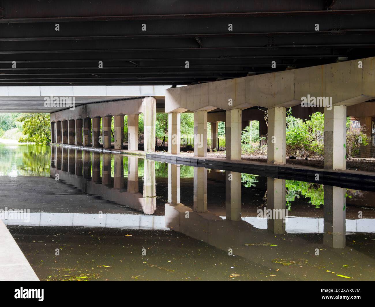 Watery nature scene hi-res stock photography and images - Alamy