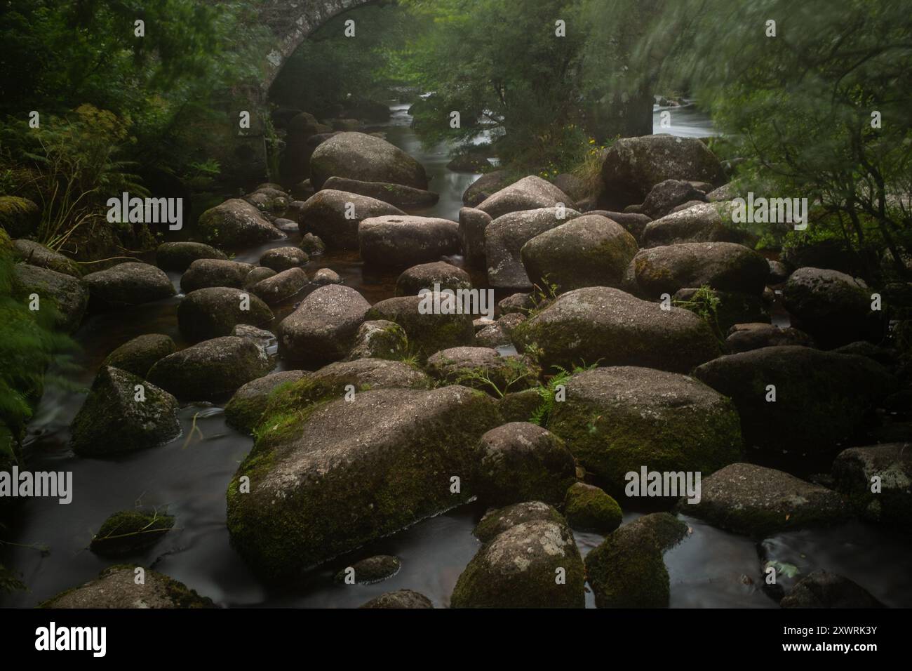 Devon, UK - Stock Image
