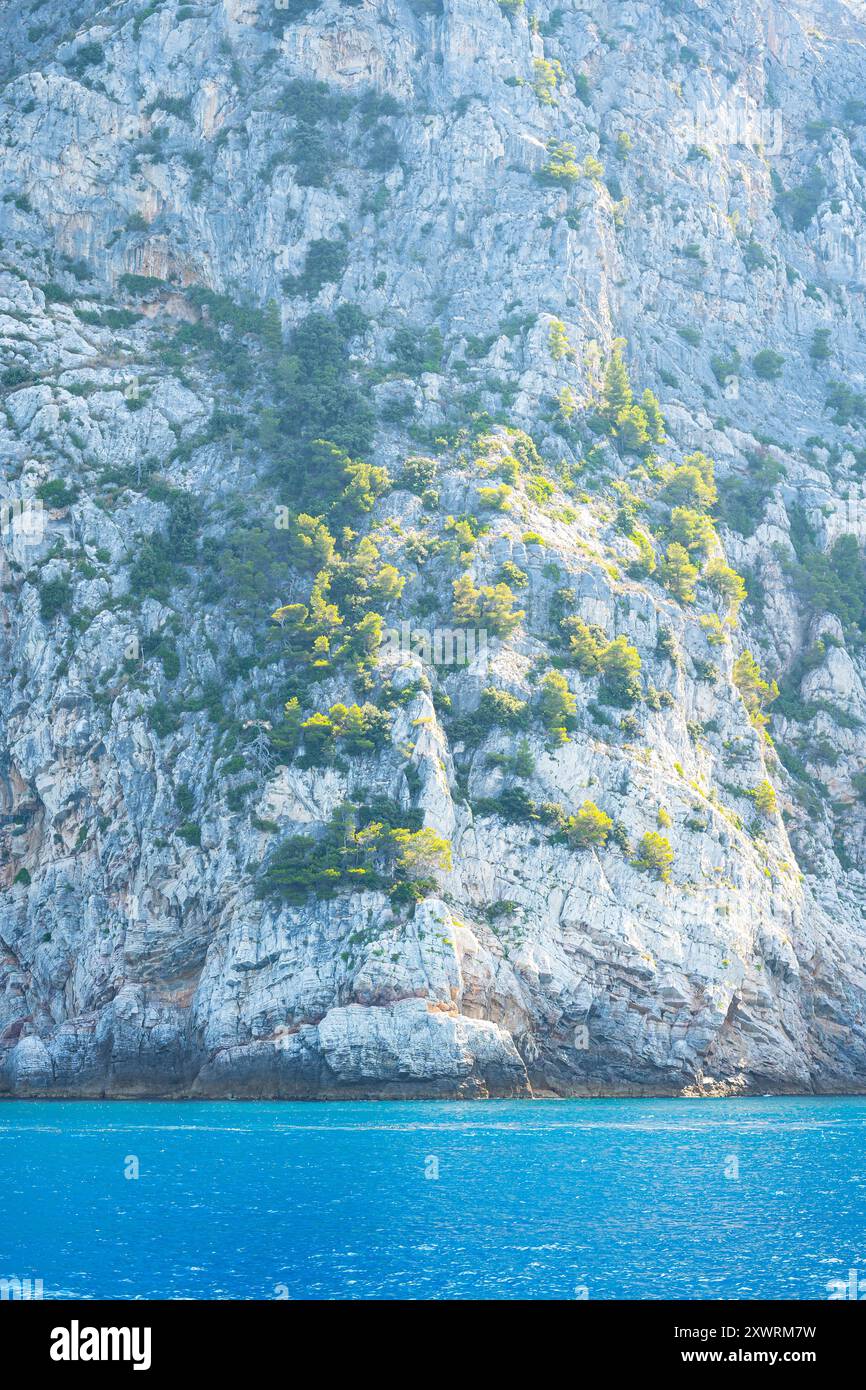 Vegetated Rocks Cinque terre natural park hi-res stock photography and images - Alamy