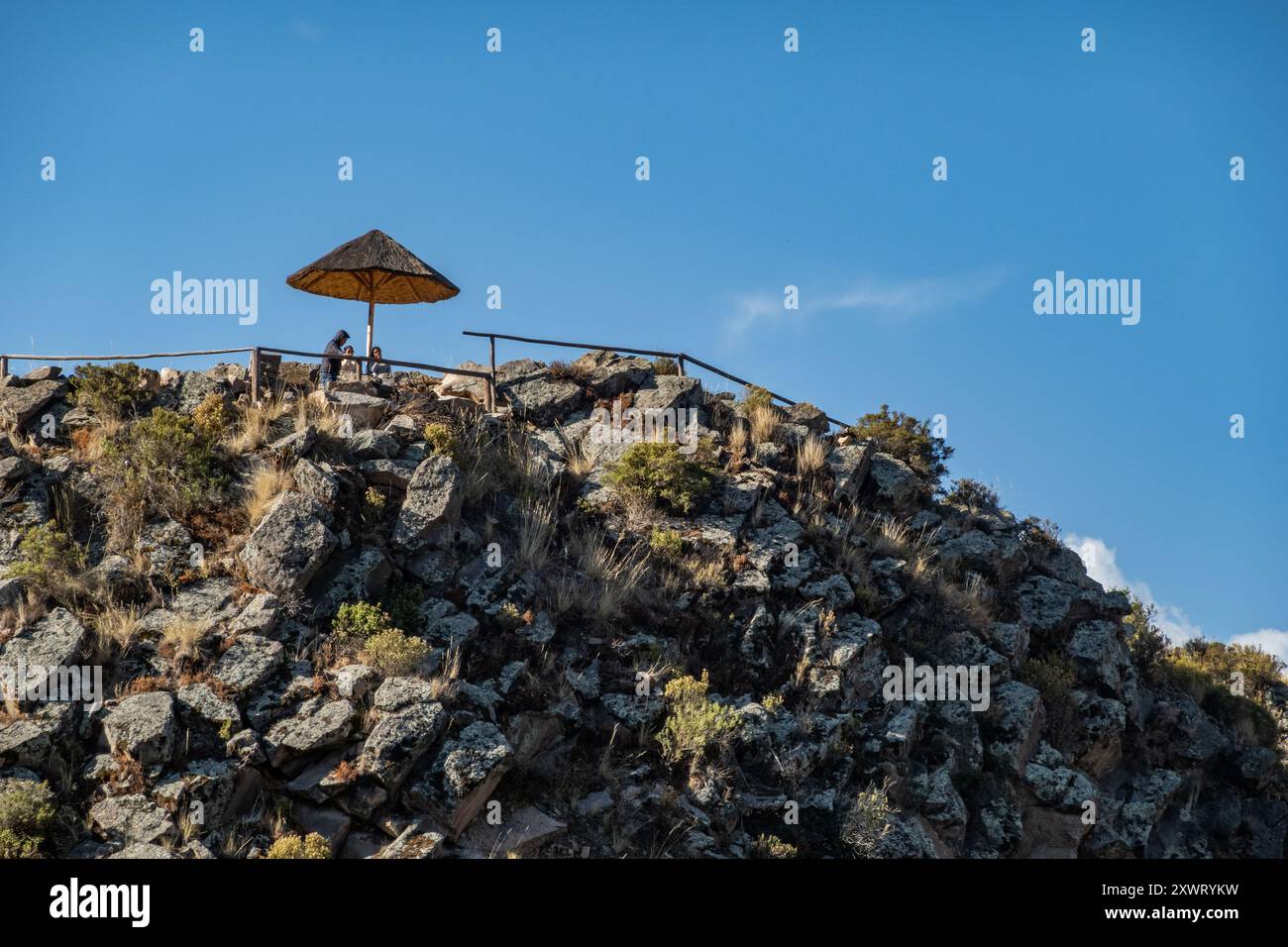 Hummingbird rocky mountain hi-res stock photography and images - Alamy