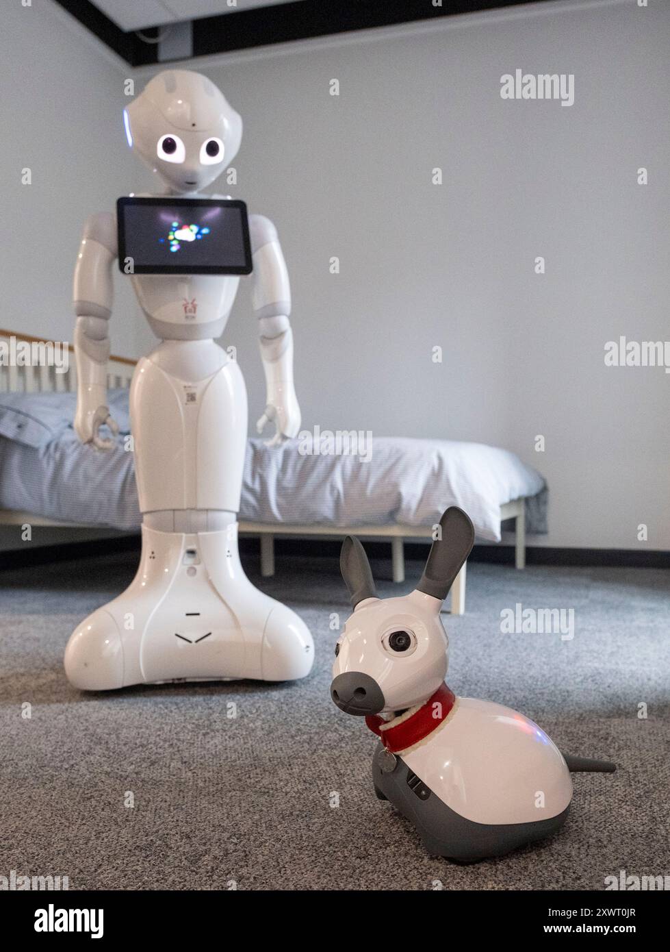 Robots in the LARA lab for research into robotics for assistive living ...