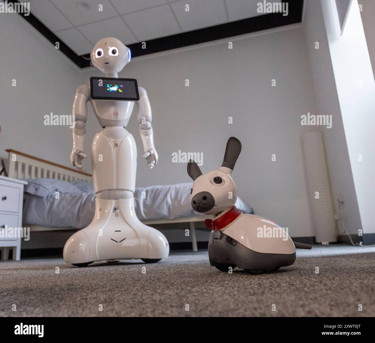 Robots in the LARA lab for research into robotics for assistive living ...