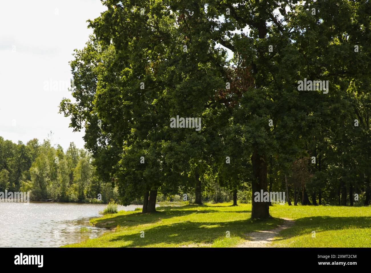 Green trees by lake hi-res stock photography and images - Alamy