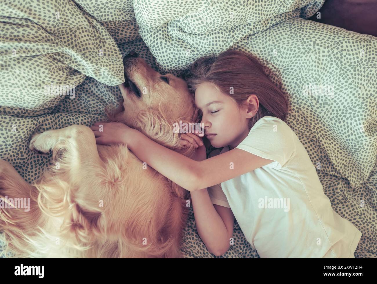 Cute Little Girl Sleeping With Golden Retriever Dog In Bed Stock Photo ...
