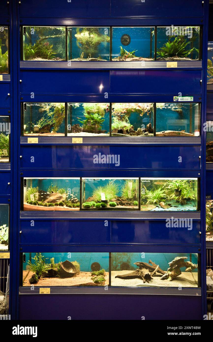 Pet store fish tanks hi res stock photography and images Alamy