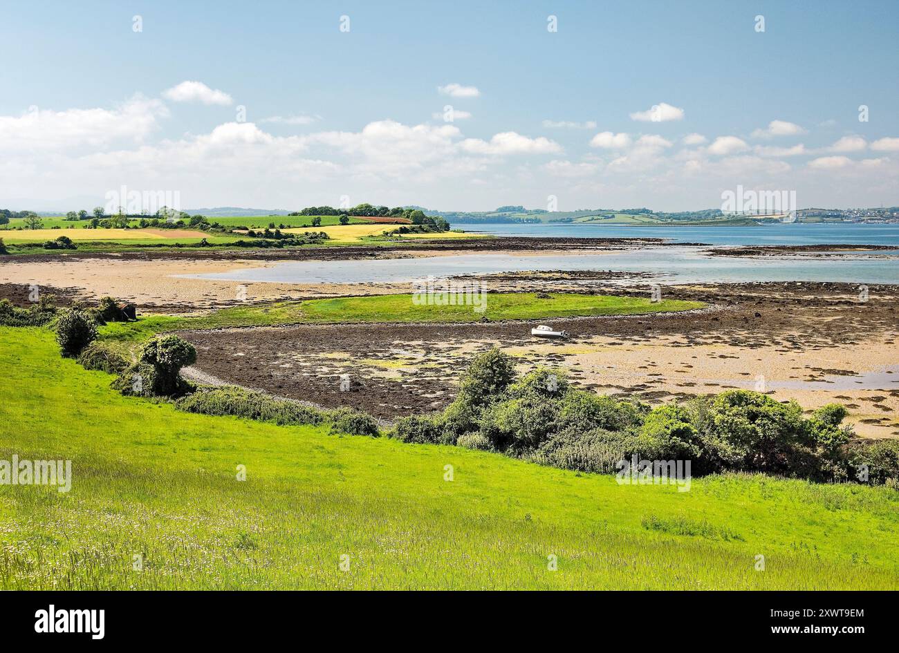 Strangford lough bird hi-res stock photography and images - Alamy