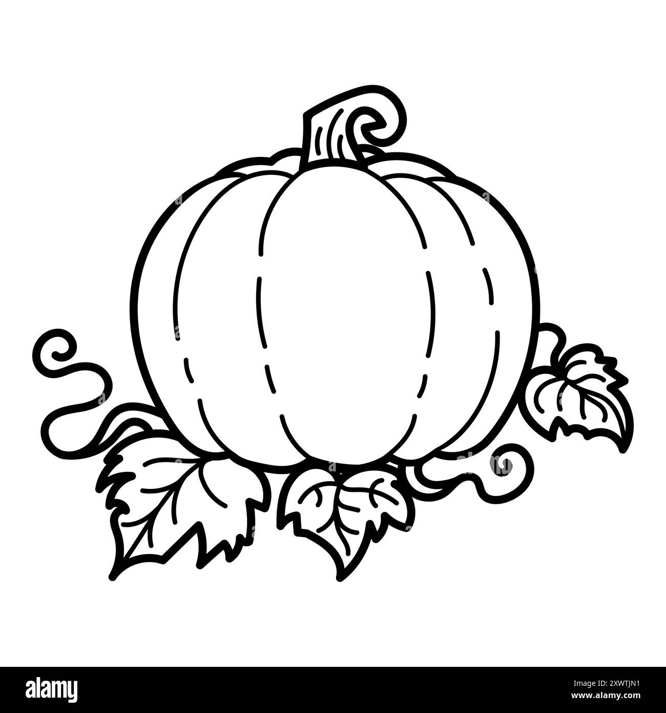Black and white vector illustration of a pumpkin with leaves, perfect ...