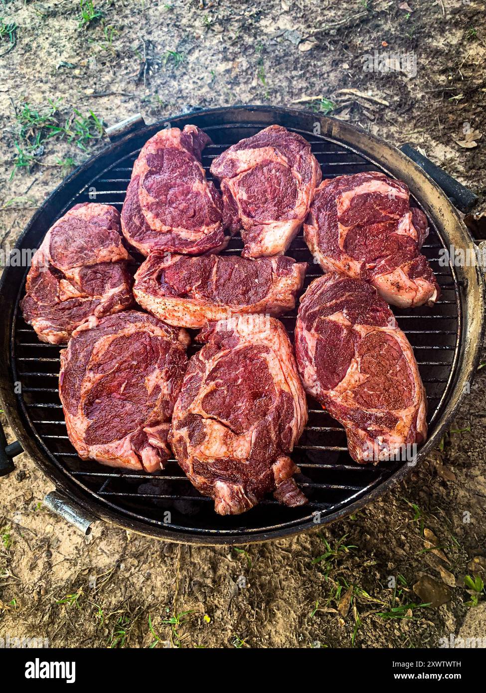 Ribeye steak grilling at the campsite. Stock Photo