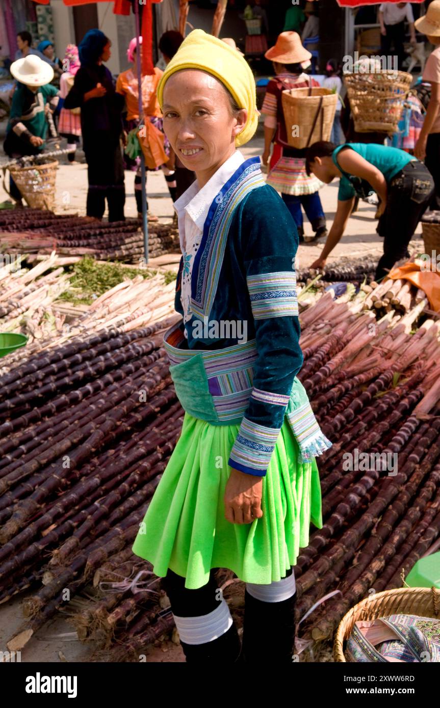 A Hmong ( Miao ) woman wearing a traditional dress Stock Photo