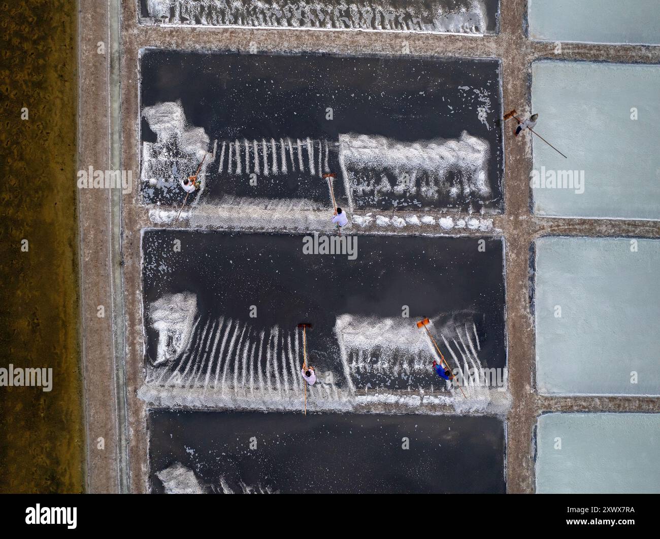 Salt fields in Long Dien town, Ba Ria Vung Tau province, Vietnam Stock Photo