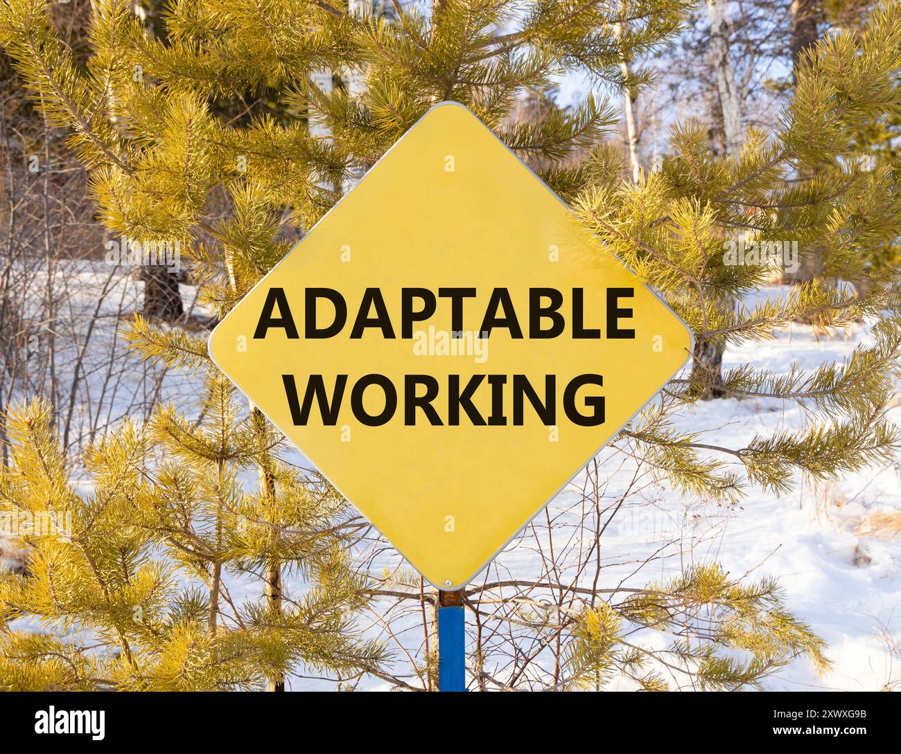 Adaptable working symbol. Concept words Adaptable working on beautiful ...