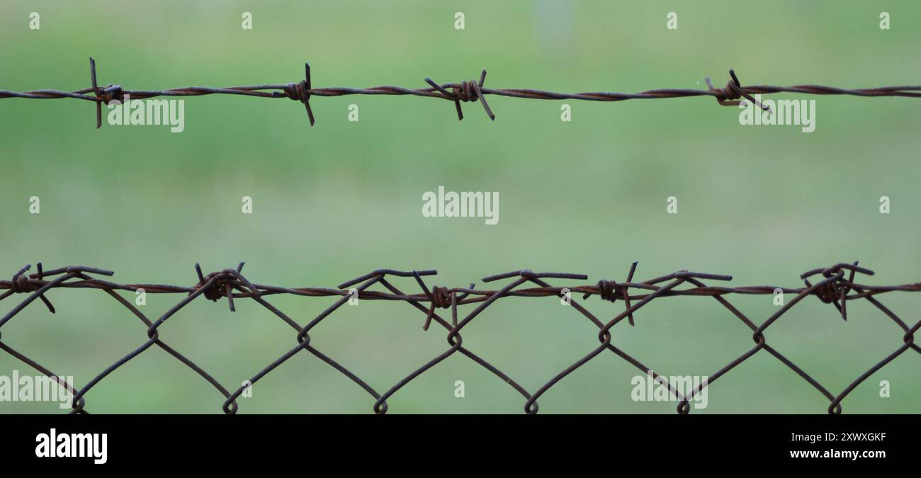 dusty barbed wire fence with blurred background in behind Stock Photo ...