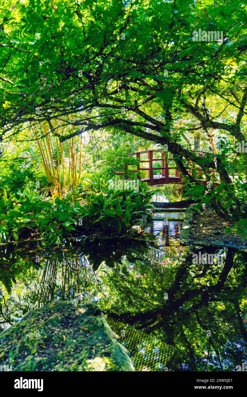 Japanese garden at the Miami Beach Botanical Garden, Miami, Florida