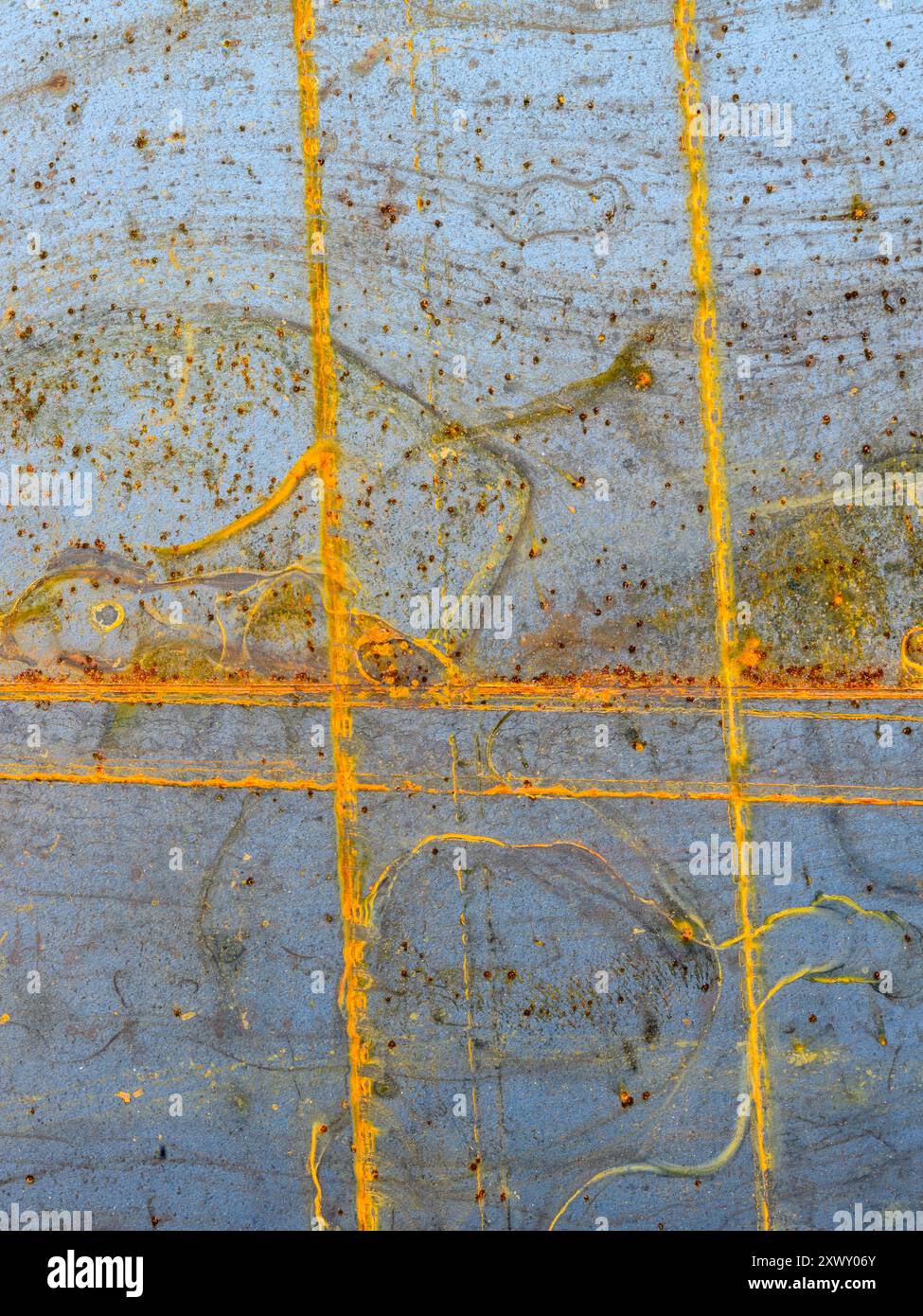 Silver staining hi-res stock photography and images - Alamy