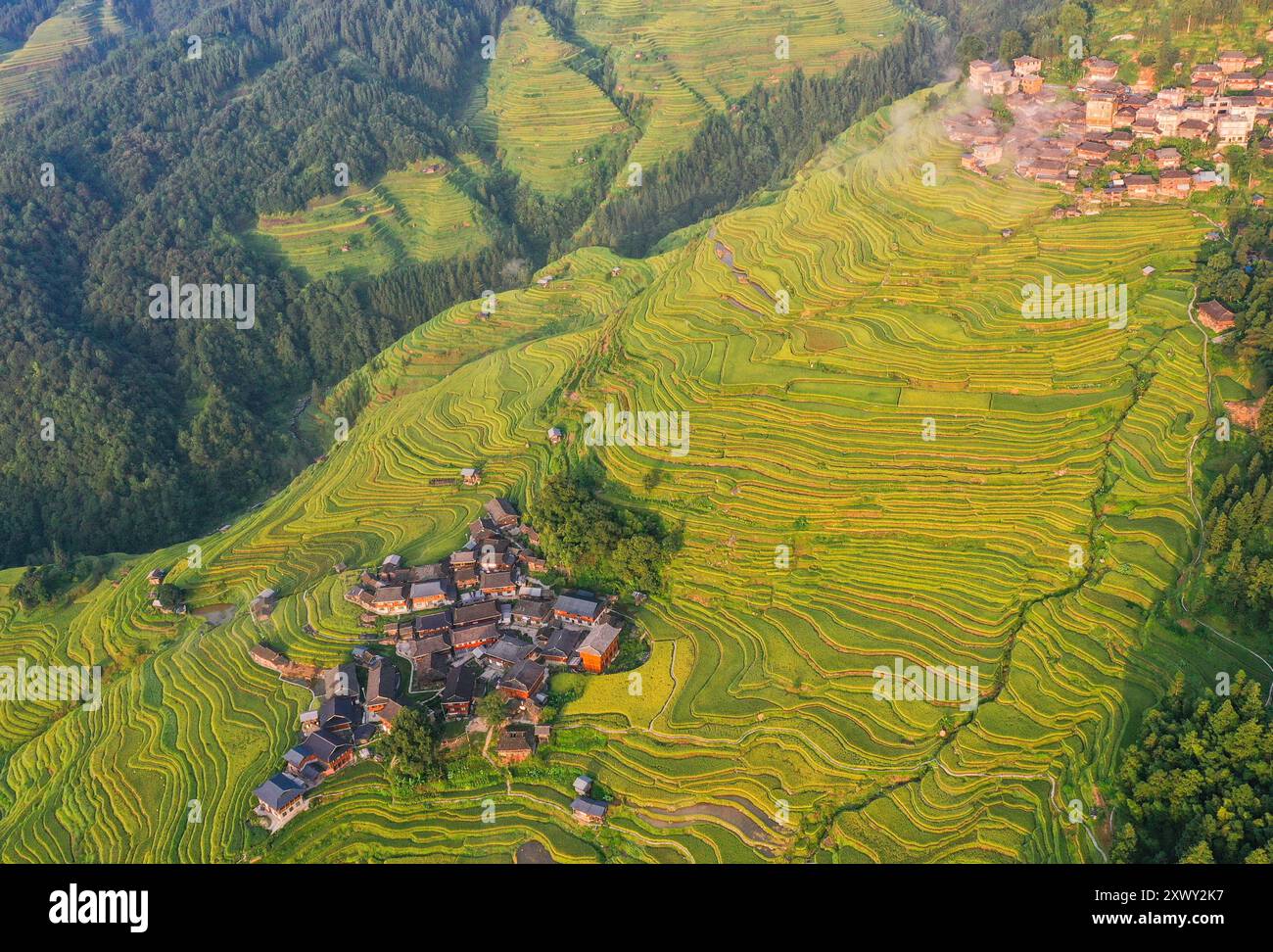 Congjiang, China. 21st Aug, 2024. CONGJIANG, CHINA - AUGUST 21, 2024 ...