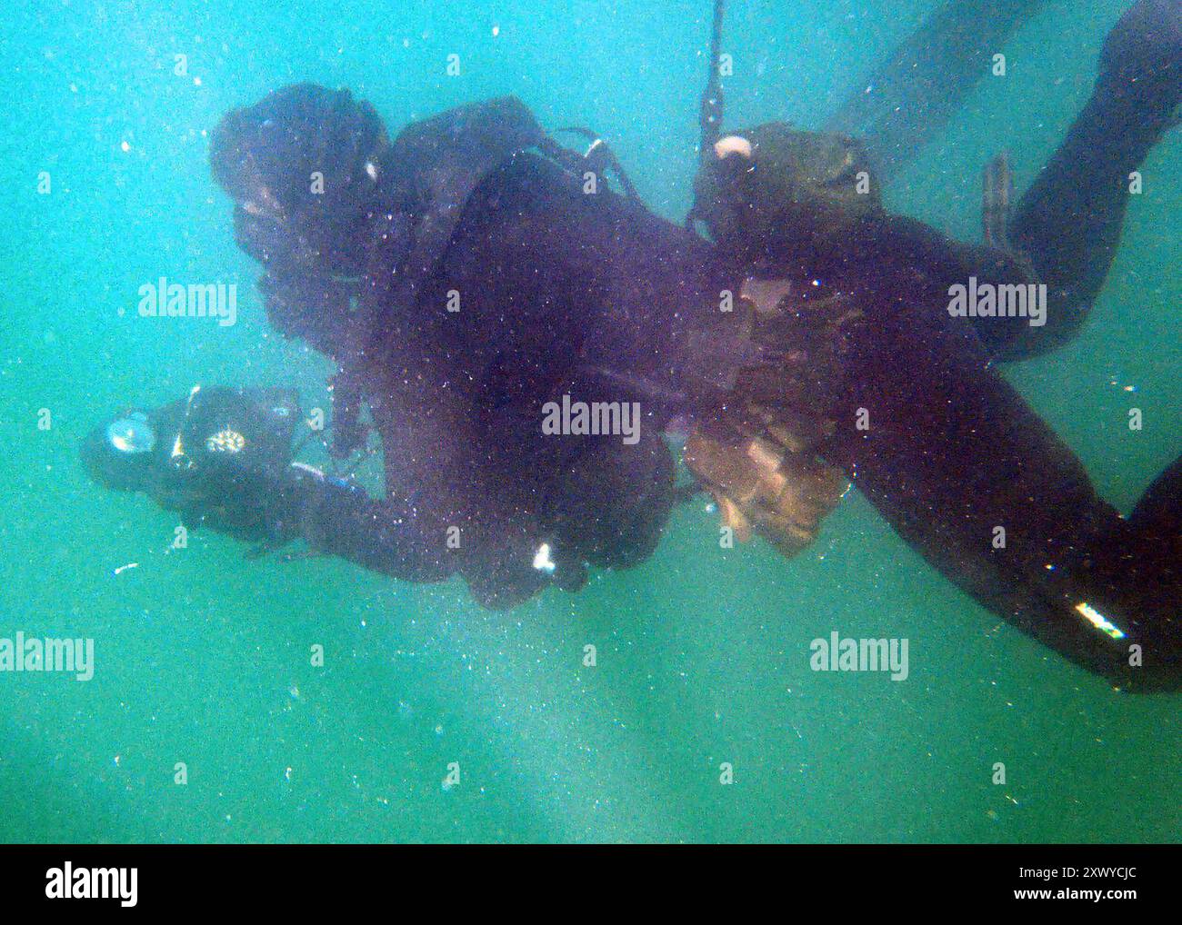 A Navy SEAL practices underwater navigation during a diving exercise. Navy SEALs are a part of a continuous training cycle to improve and further specialize there skills. (U.S. Navy photo by Mass Communication Specialist 2nd Class William S. Parker) KEY WEST, Fla. (Aug. 14, 2010) Stock Photo