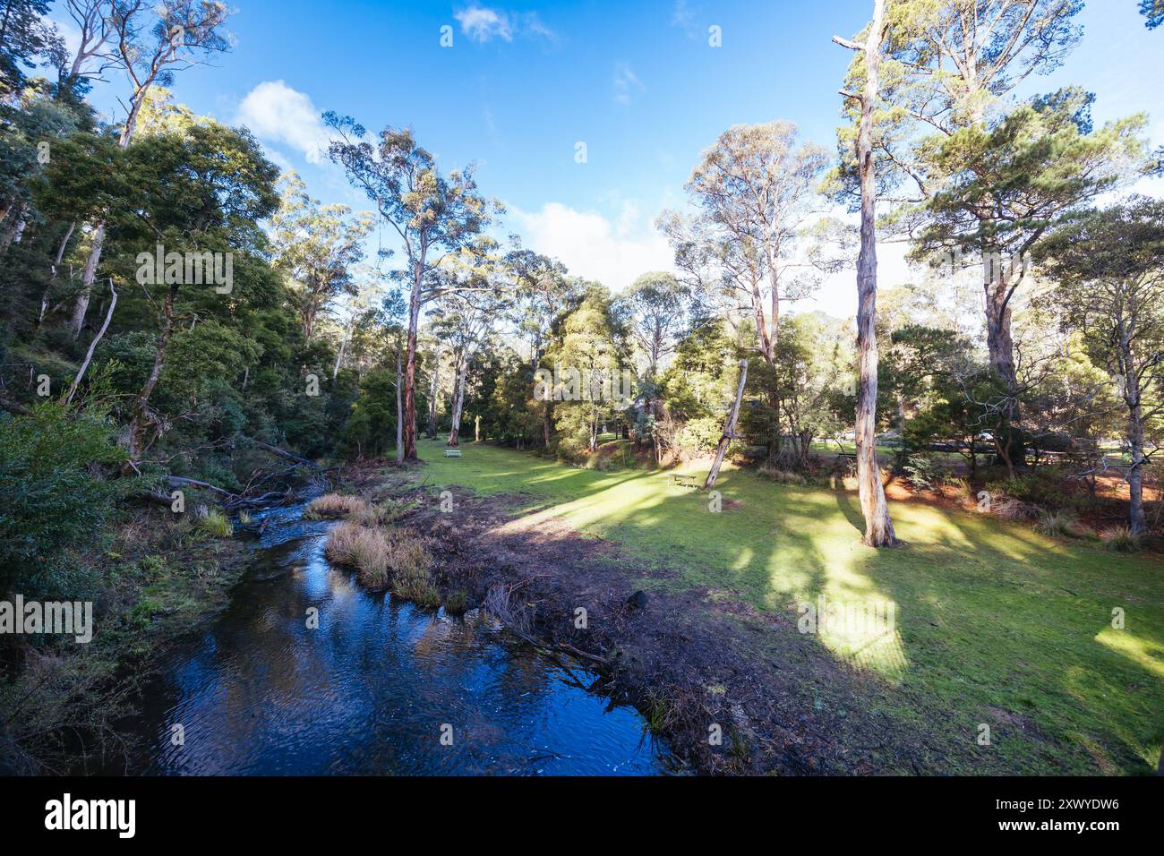 Spring Victoria Australai Blackwood Mineral Springs in Victoria Australia Stock Photo - Alamy