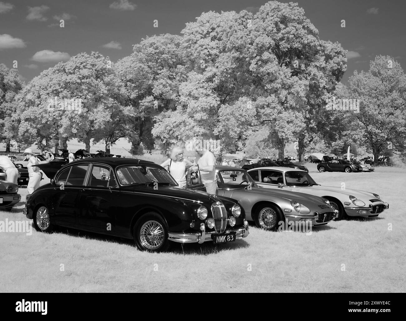 Jaguar Mk 2 & E-types at the Classics at Penshurst Car Show at ...