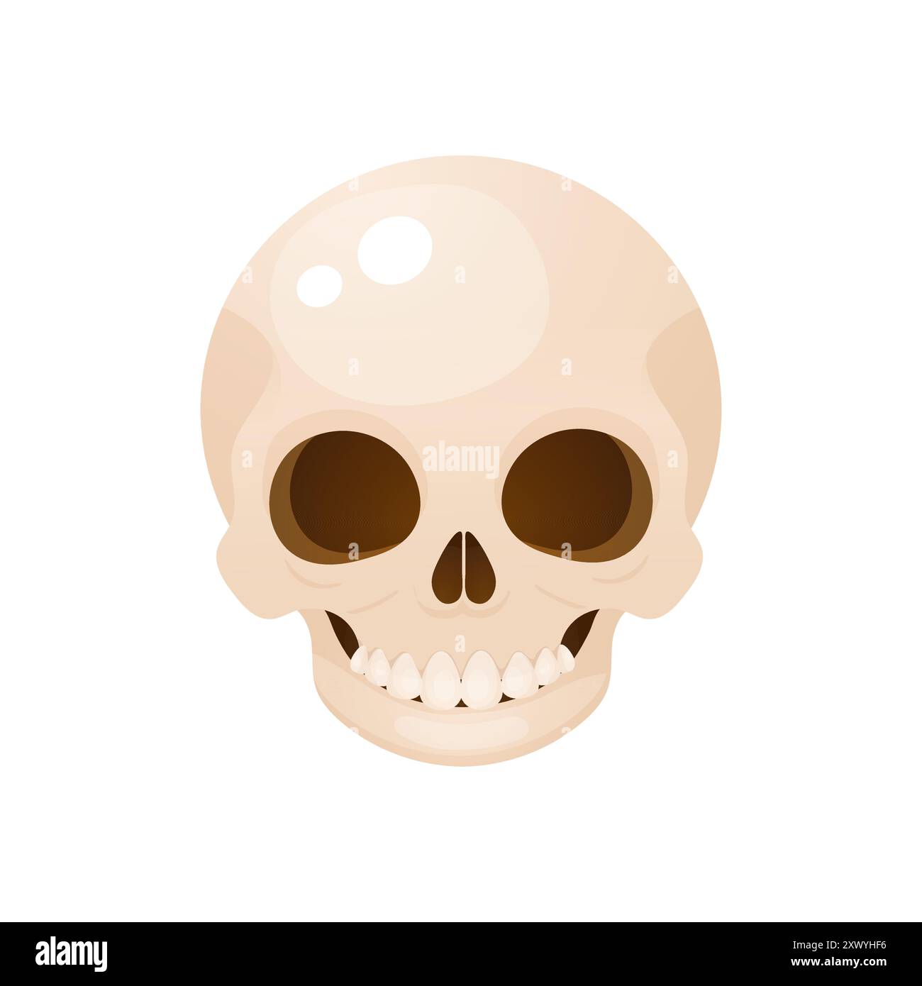 Halloween cartoon skull illustration. Vector illustration on white ...