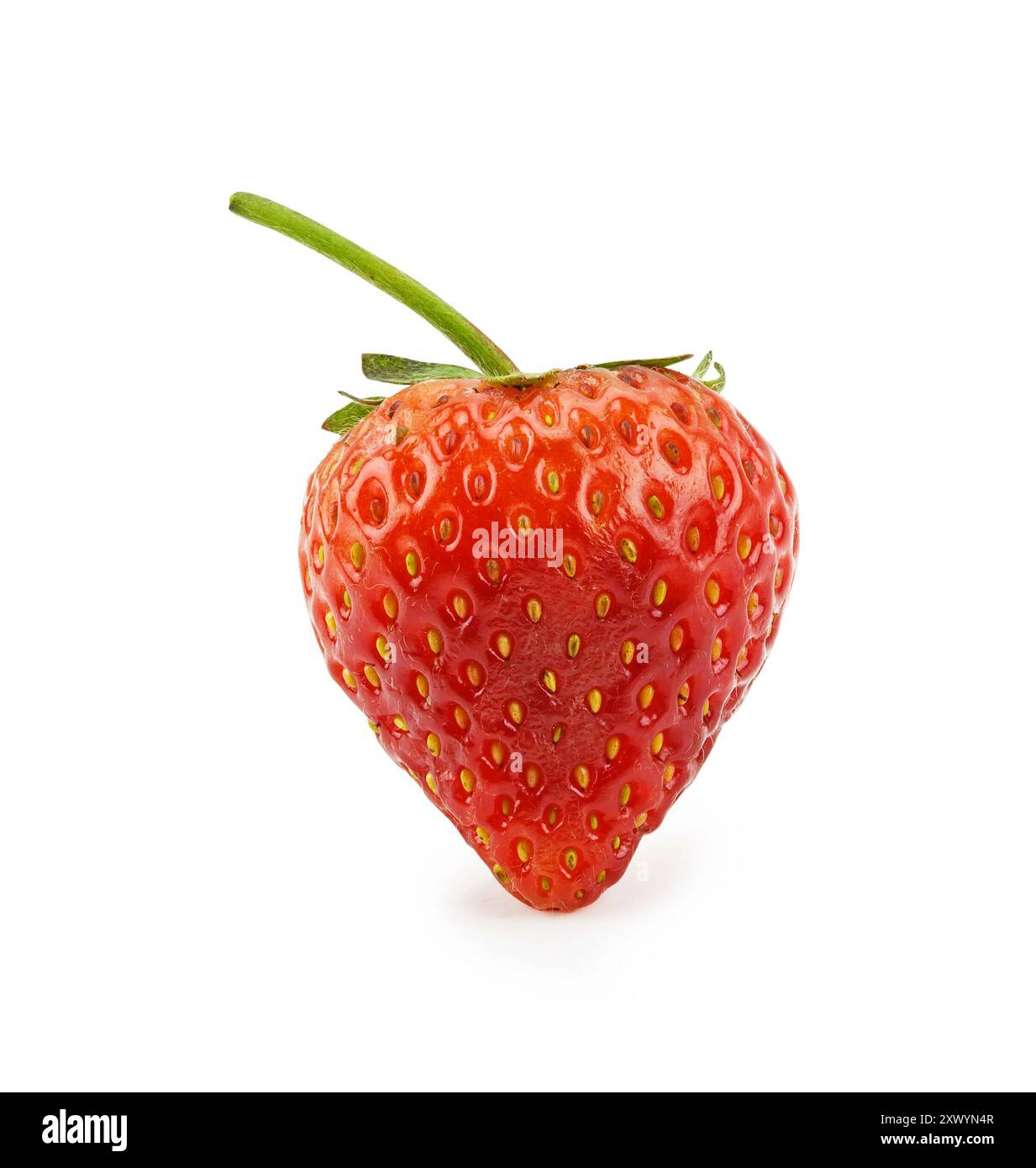 Fresh strawberries were placed on a white background Stock Photo - Alamy