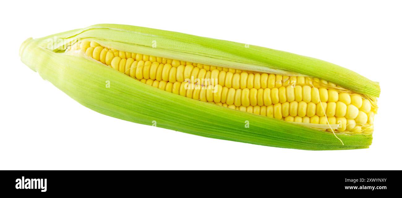 Fresh corn isolated on white Stock Photo - Alamy