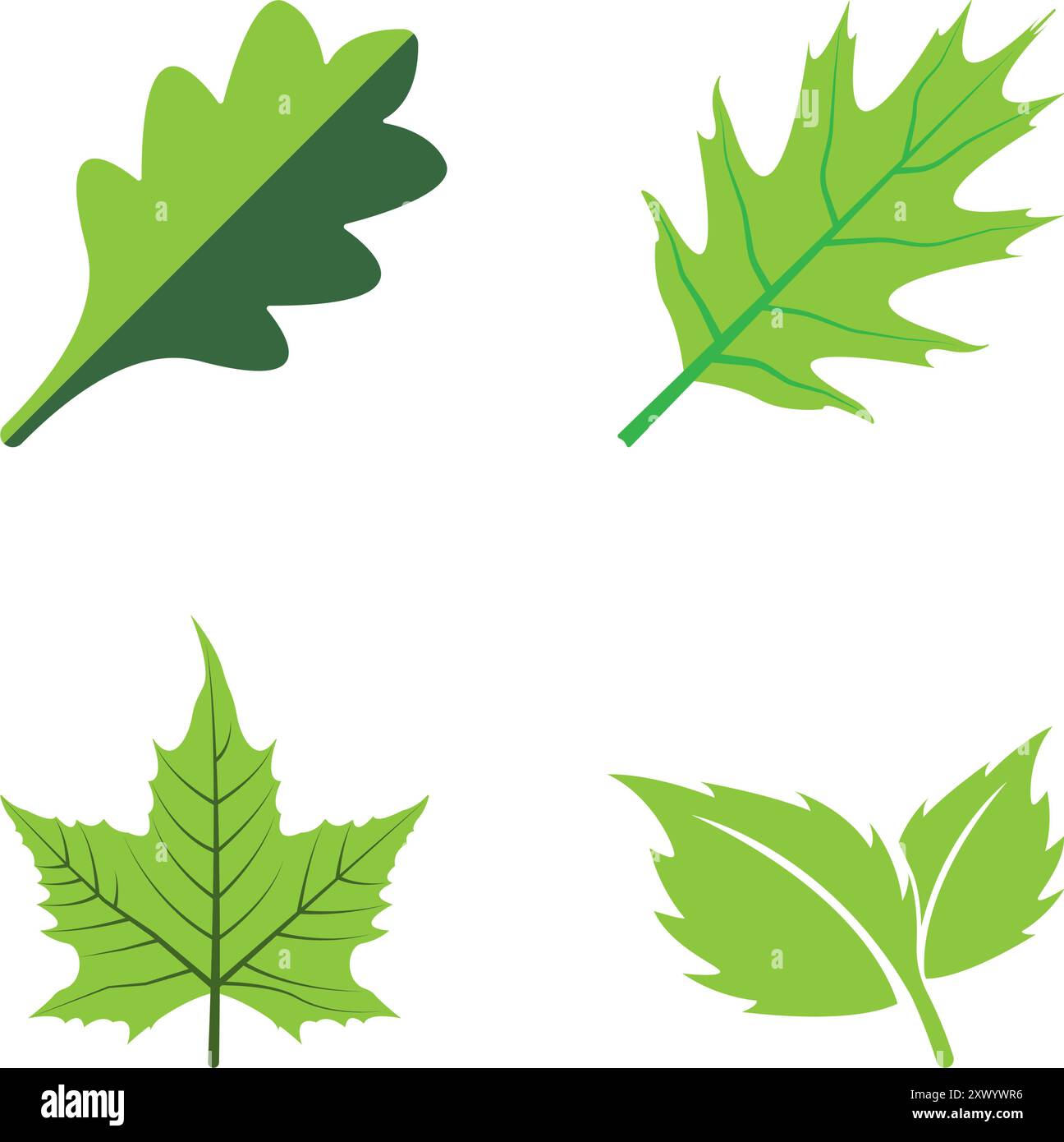 leaf logo vector illustration element design Stock Vector Image & Art ...