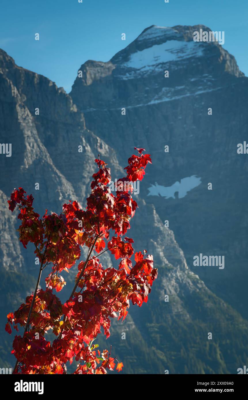 Fall Colors Glacier National Park Stock Photo - Alamy