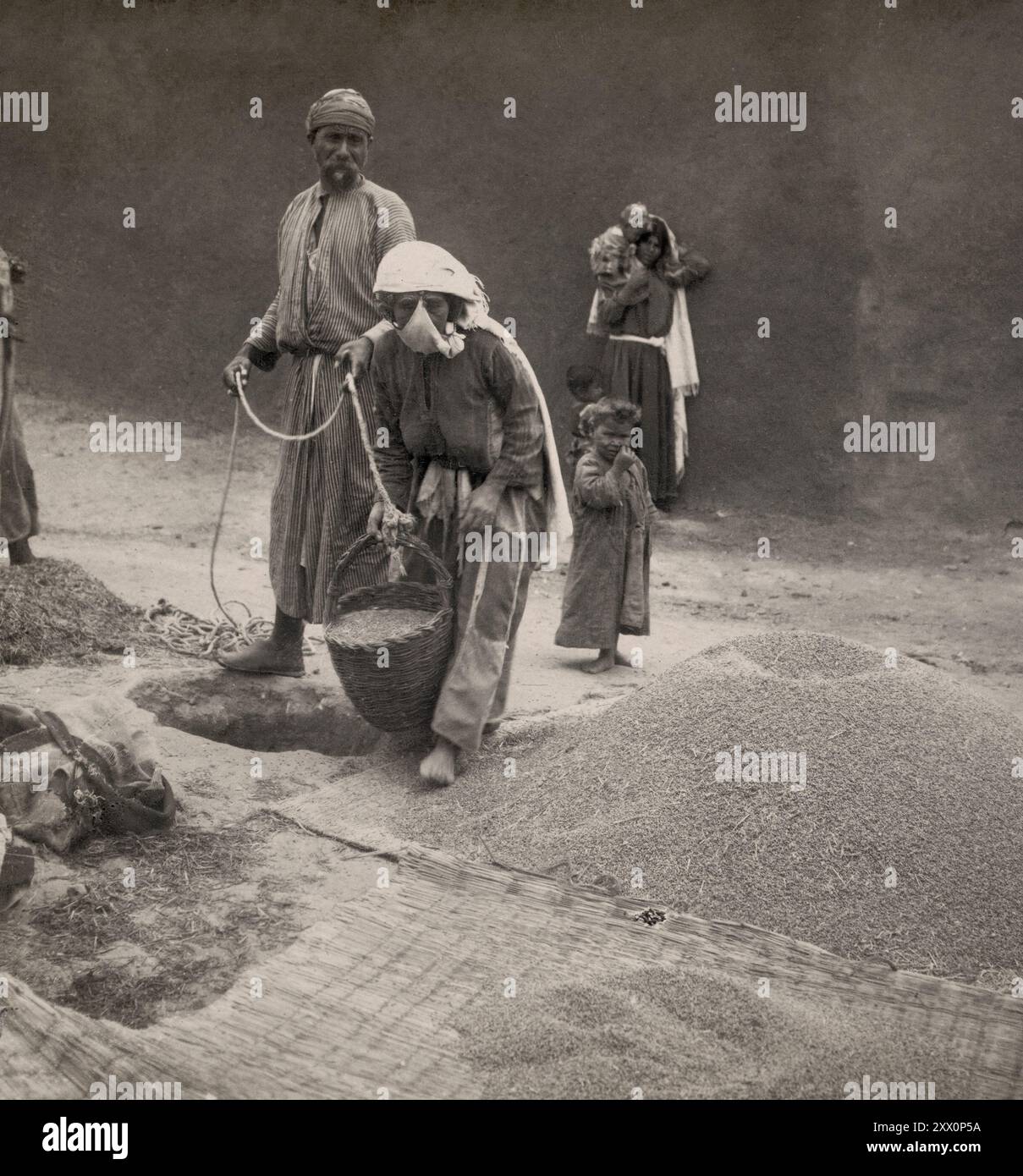 Life in Palestine in the early 20th century. Drawing wheat from cistern, Ashdod. Historic Palestine. Ottoman Empire. March 1908 Stock Photo