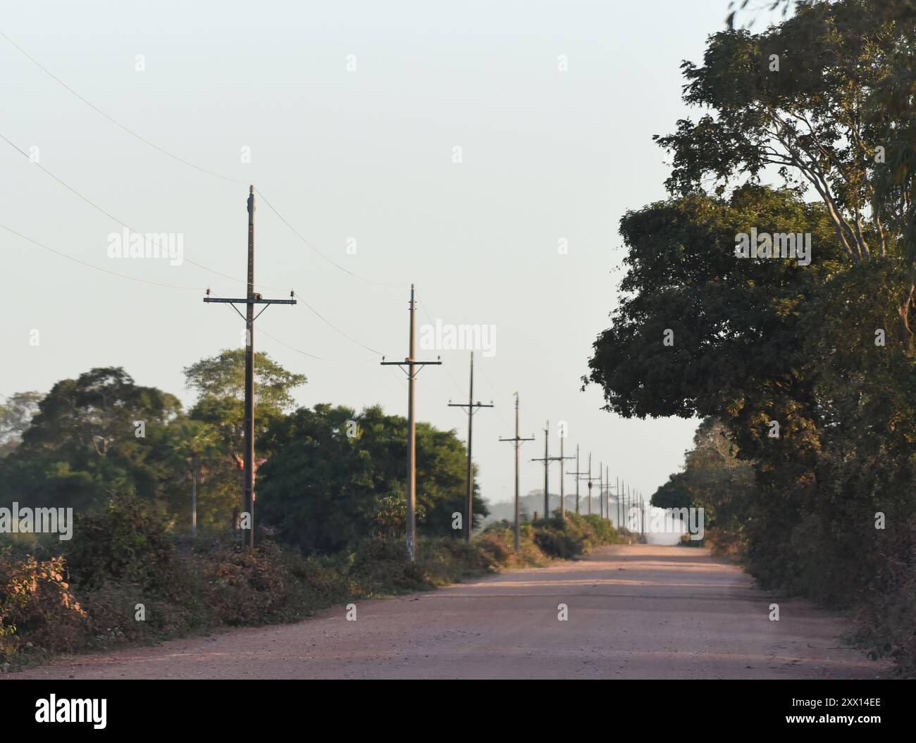 The Transpantaneira, the dirt road that runs through the northern part of the Pantanal (Brazil) Stock Photo