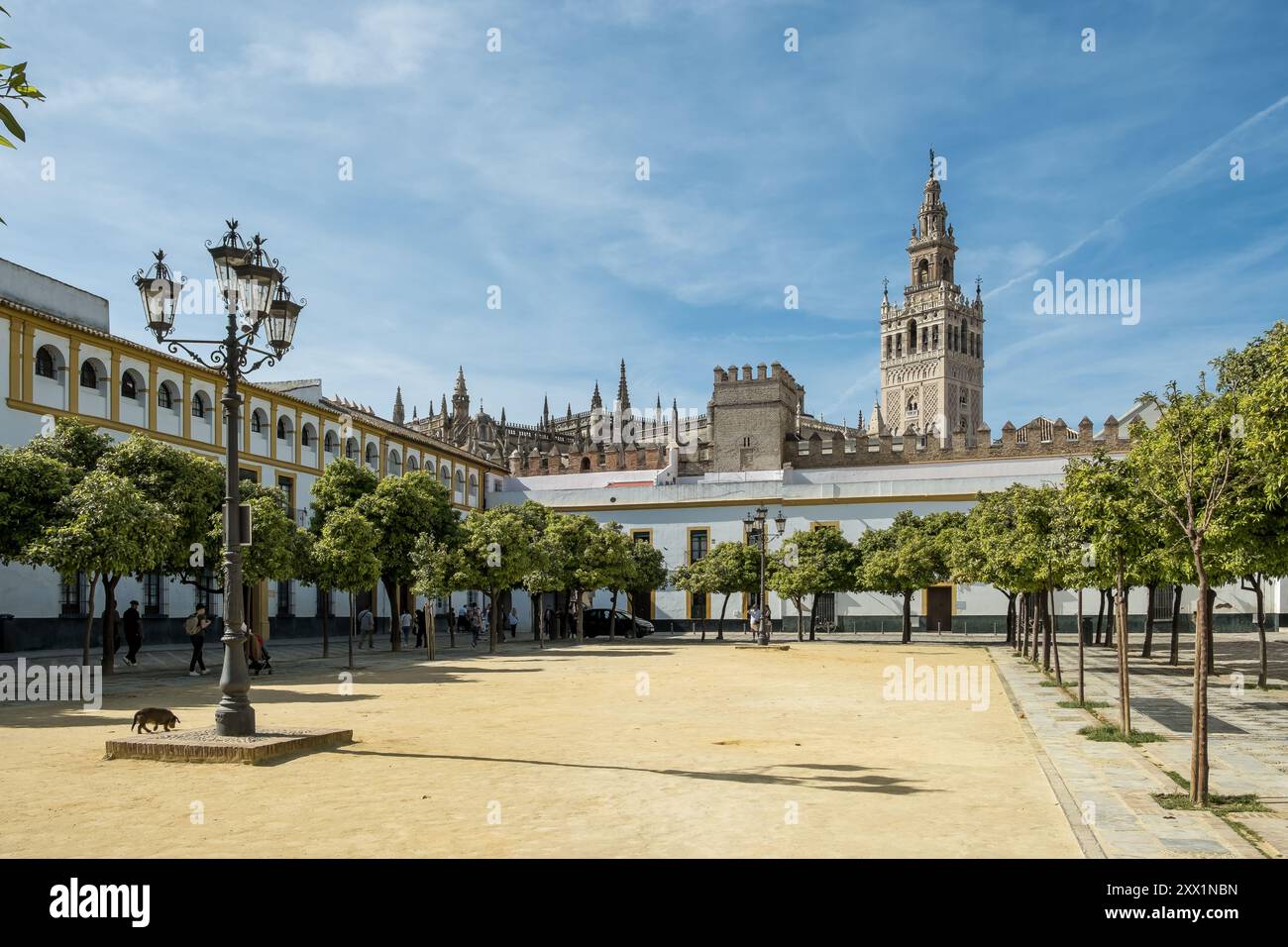 Detail of the historic centre (Casco Antiguo) of Seville, the largest city of Andalusia, with the Giralda in the background, Seville, Andalusia, Spain Stock Photo