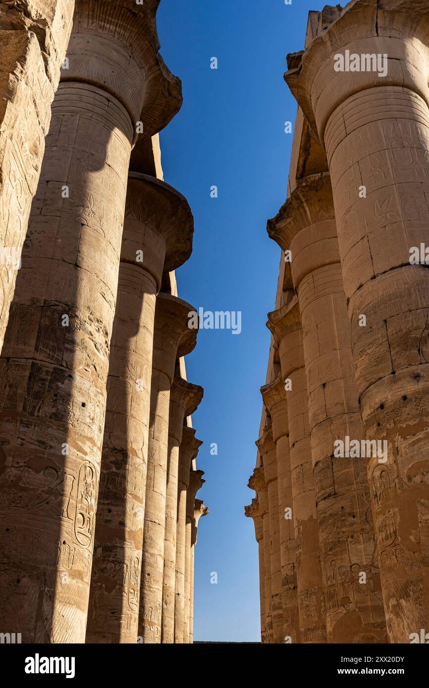 Luxor Temple, Colonnade of Amenhotep III, Luxor Temple, Luxor, Egypt, North Africa, Africa Stock Photo