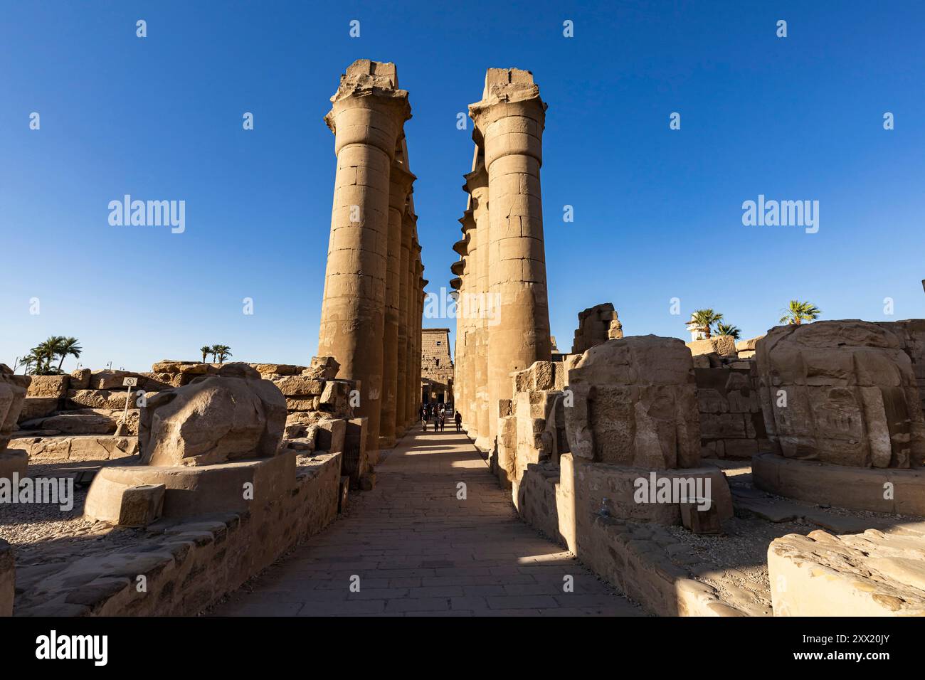 Luxor Temple, Colonnade of Amenhotep III, from courtyard, Luxor Temple, Luxor, Egypt, North Africa, Africa Stock Photo
