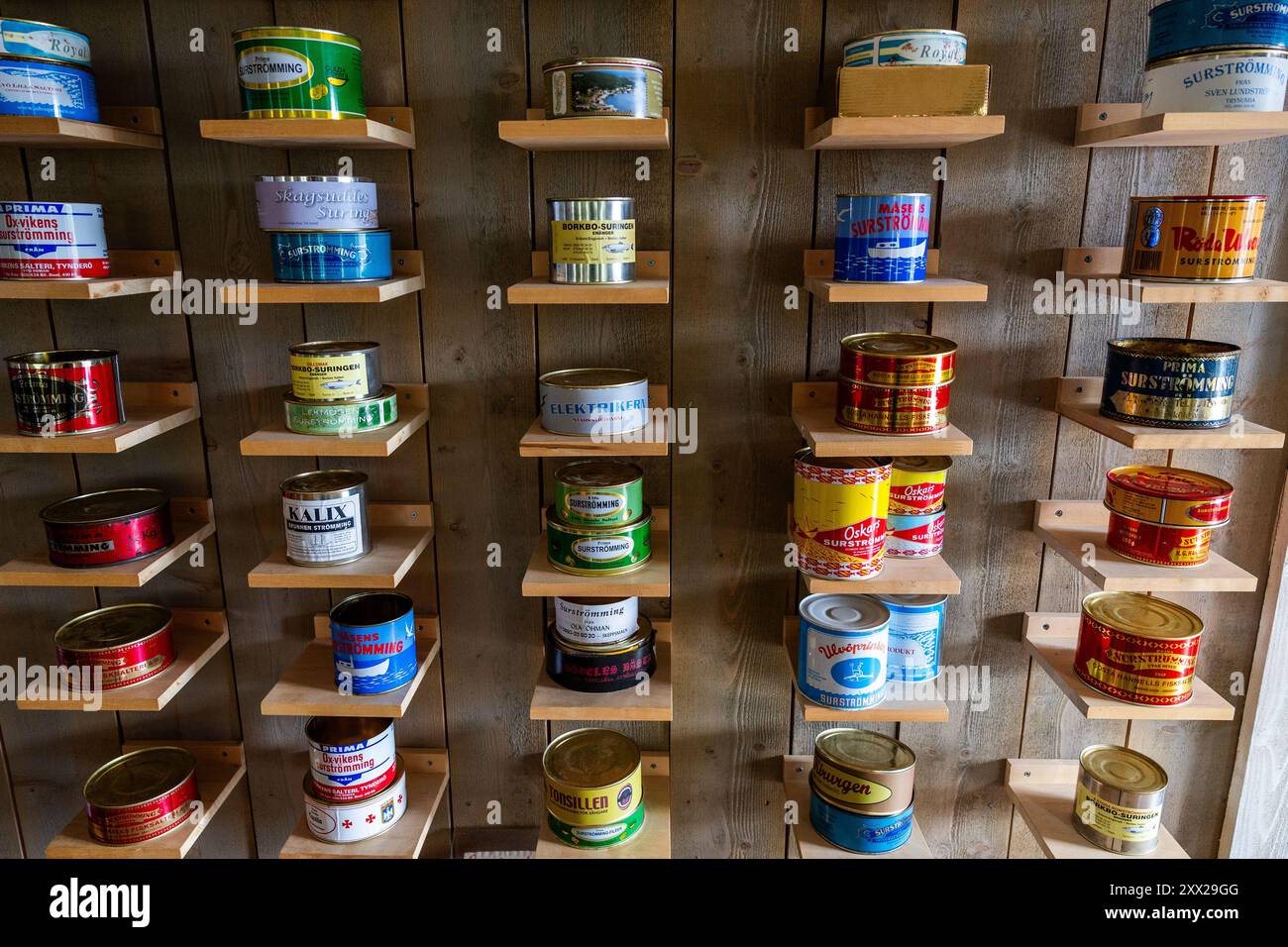 Traditional Swedish surströmming meal with flatbread and potatoes