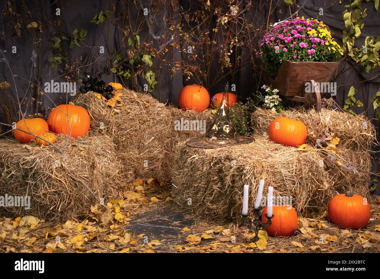 Halloween background with orange pumpkins on haystacks in an old ...