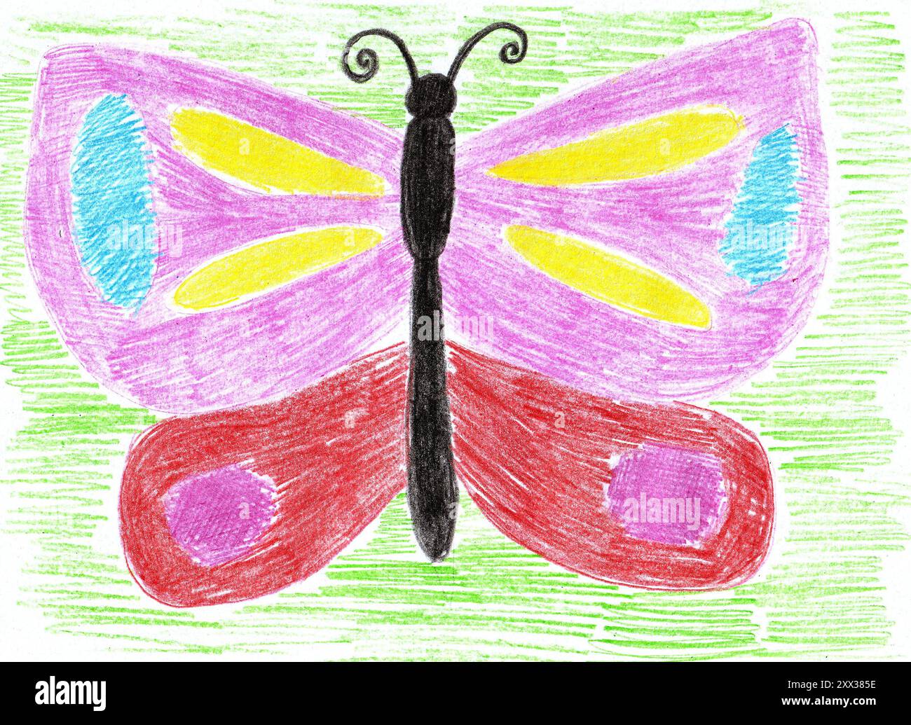 Children s drawing with colored pencils Butterfly on green background