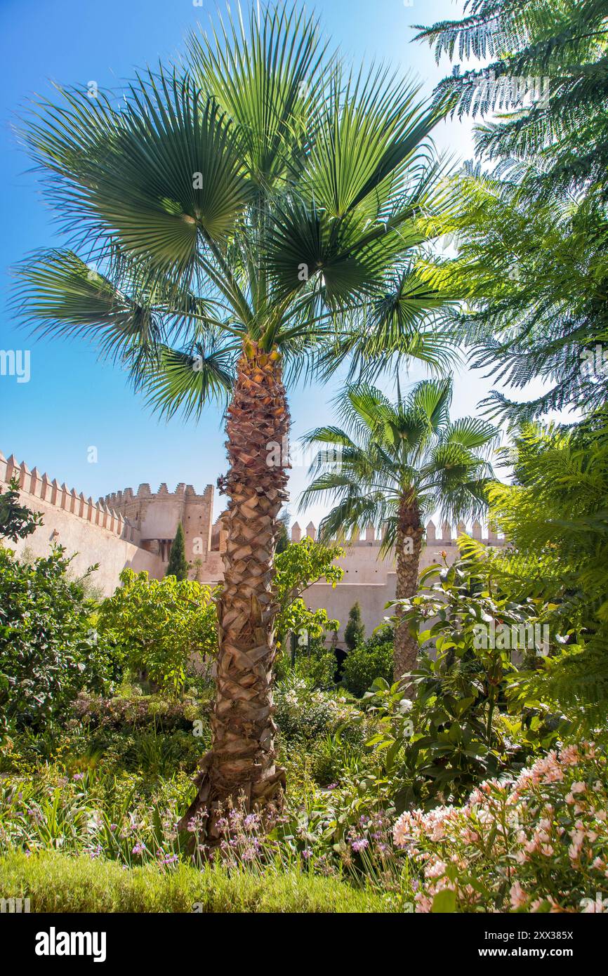 Andalusian retreat hi-res stock photography and images - Alamy
