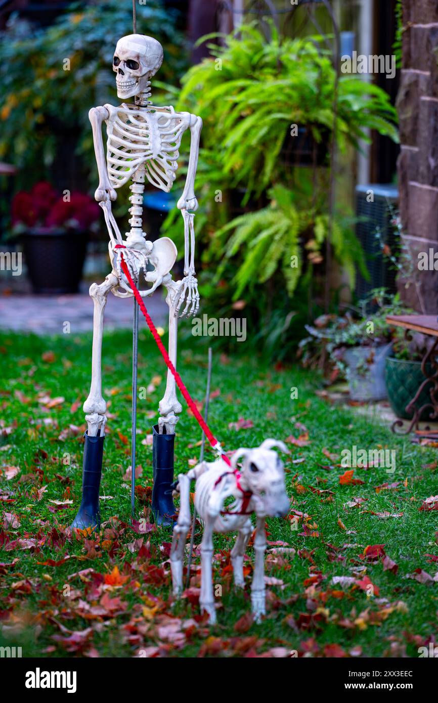 Skeleton dog Halloween decorations. Halloween skeleton for decorated