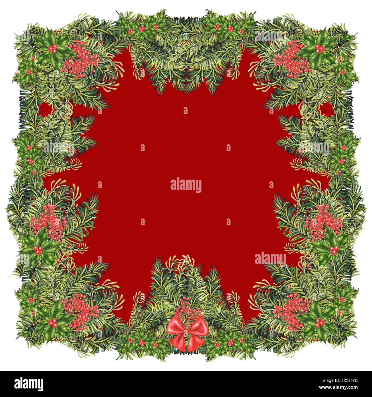 Christmas frame made of green fir branches and red holly berries ...