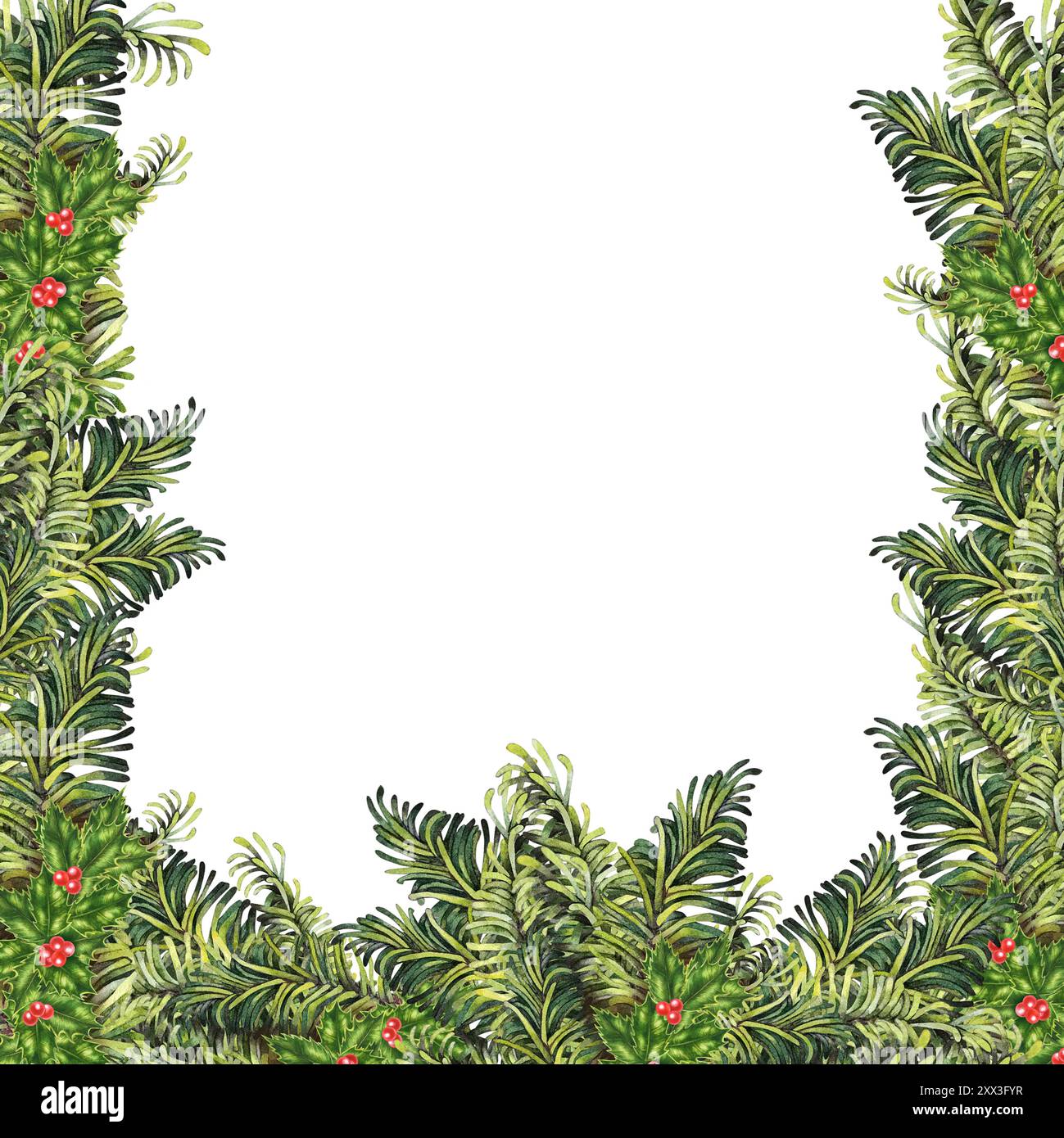 Christmas frame made of green fir branches and red holly berries ...