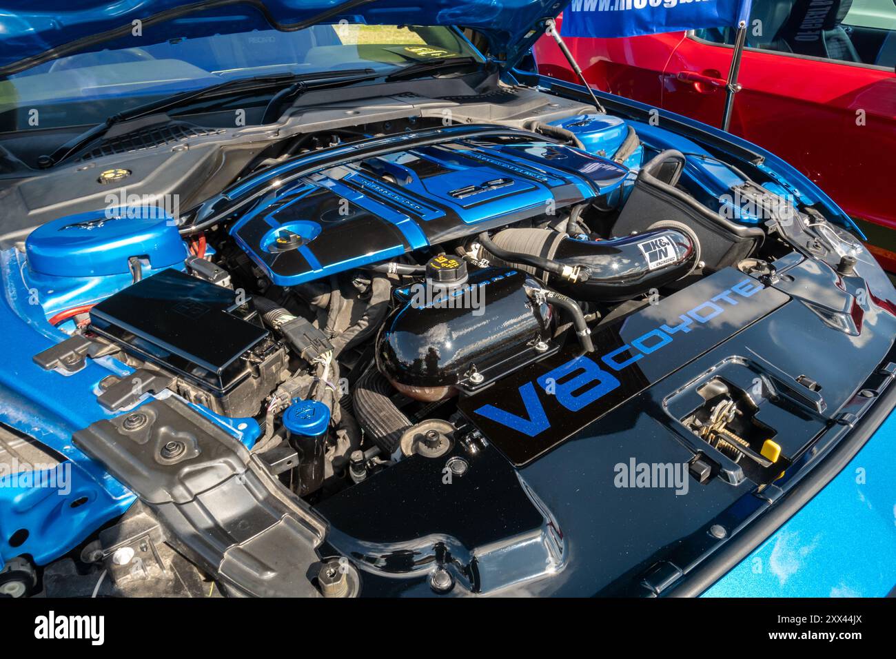 Motor coyote hi-res stock photography and images - Alamy