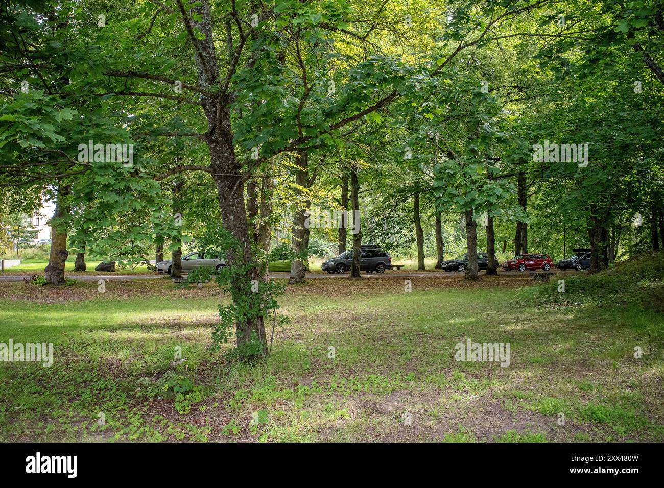 Sunny summer day in city park Grenadjärparken. This is a historic park ...
