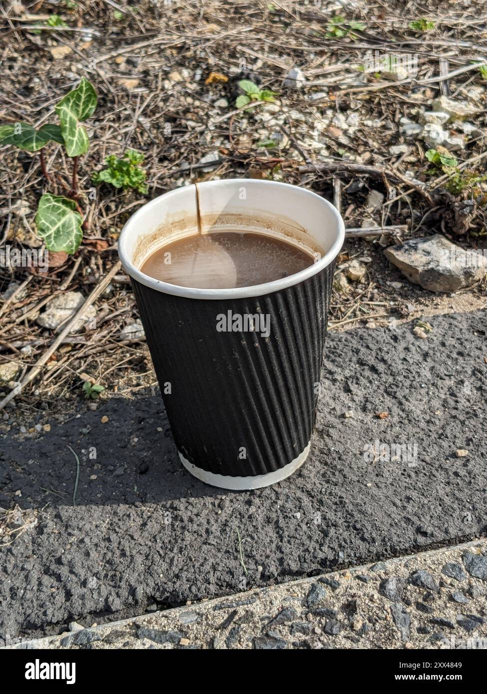 Litter on pavement hi-res stock photography and images - Alamy