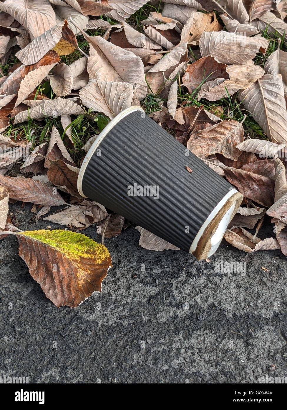 Litter on pavement hi-res stock photography and images - Alamy