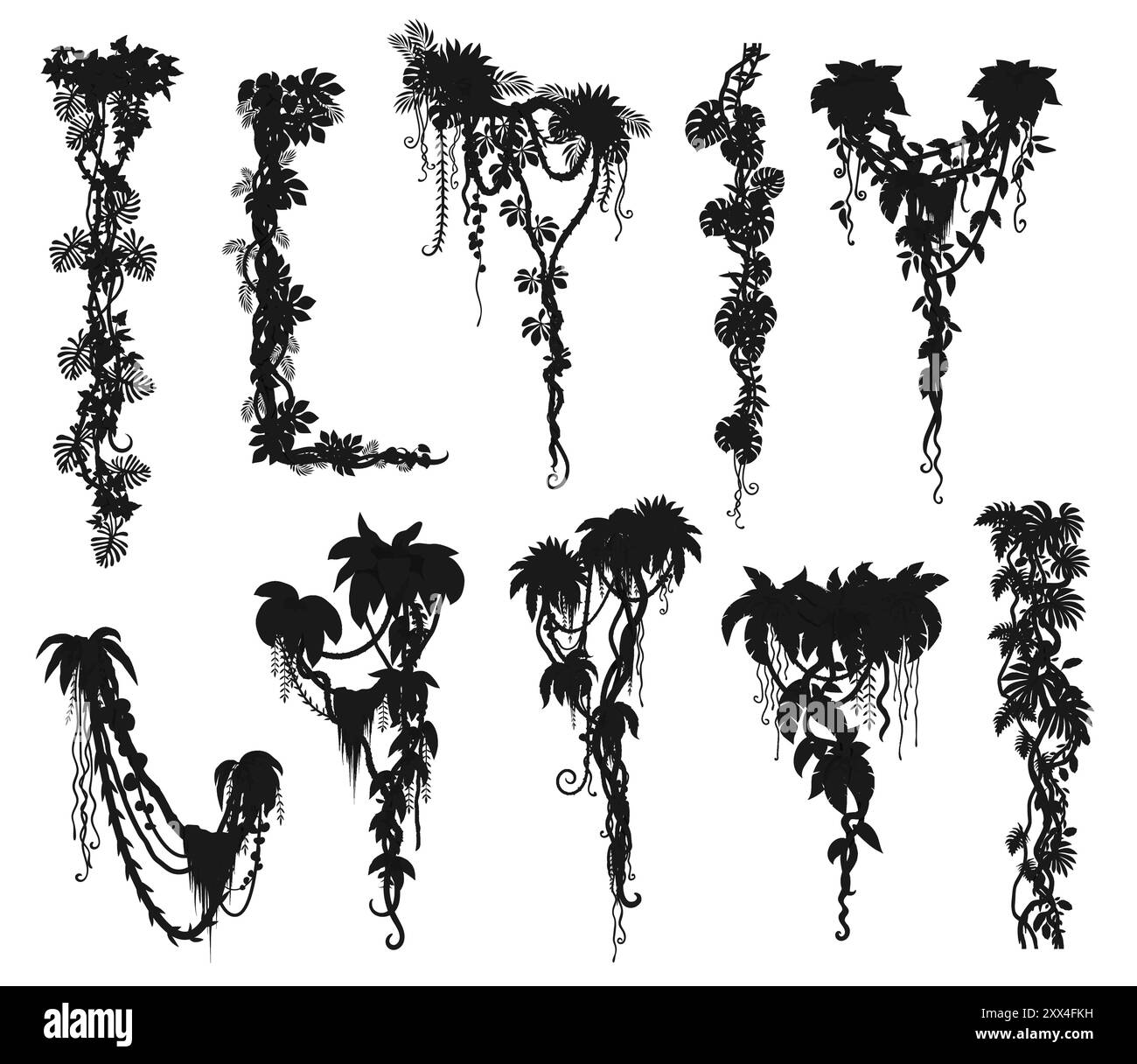 Jungle forest liana branches and tropical ivy vine, vector silhouettes