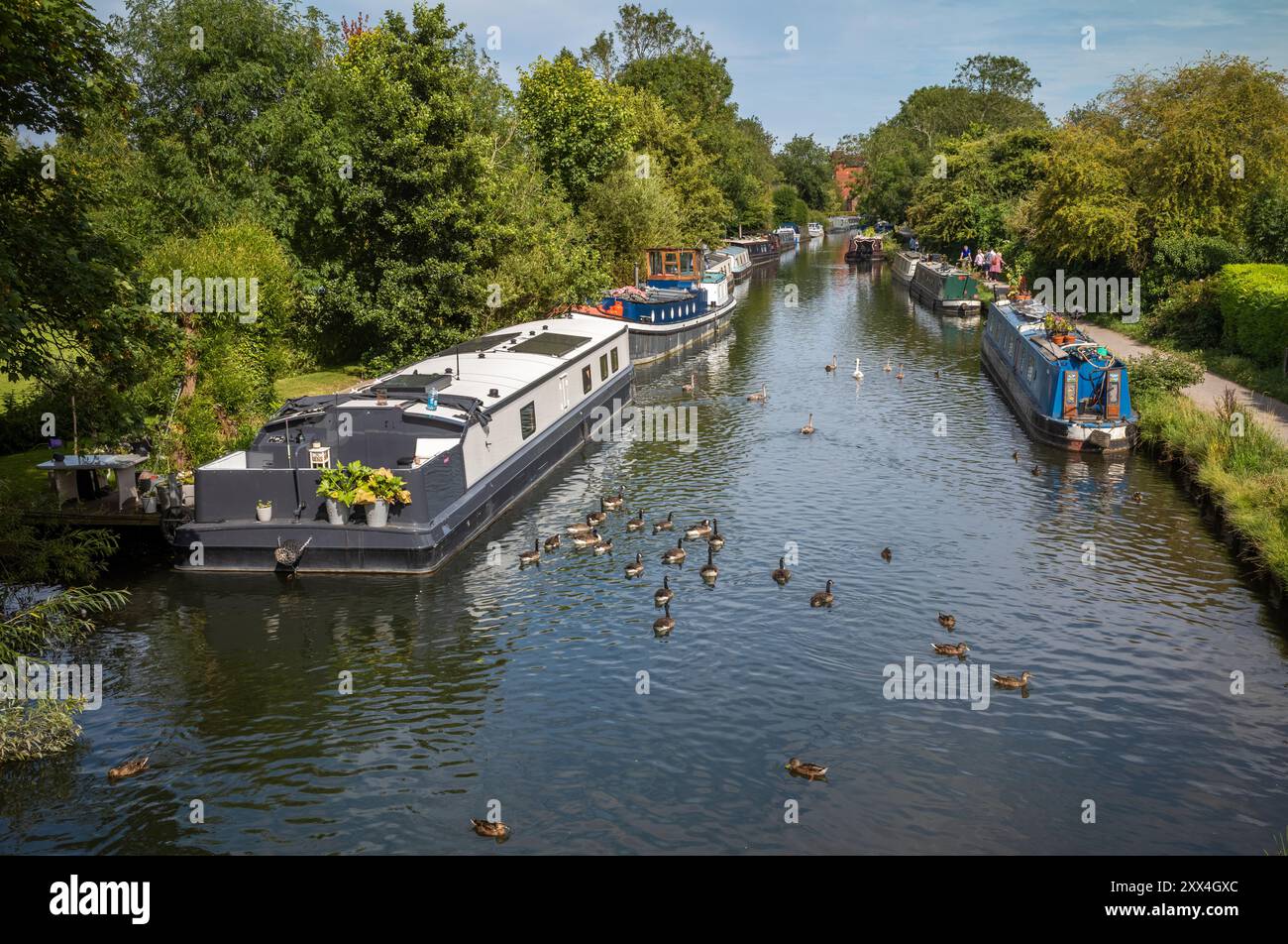 A view along the Kennet and Avon Canal near Newbury Lock,  Newbury, Berkshire, England, UK Stock Photo