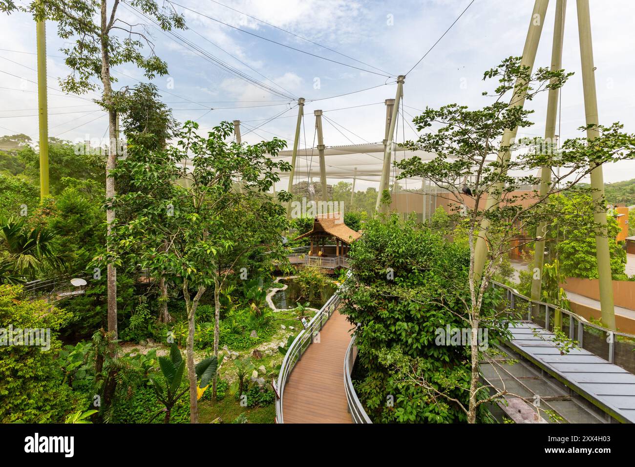 Curated visual reference: Plants Architectural Structure Features Hi Res Stock Photography And Photo Inspiration